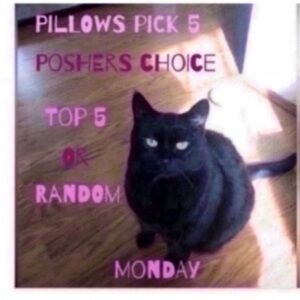 Pillows pick 5